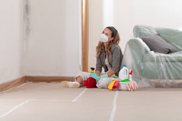 Reliable Black Mold Removal contractor in Hainesport, NJ by WQB Mold Removal